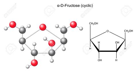 Fructose Structure Artofit