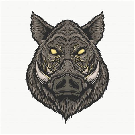 Hand Drawing Vintage Wild Boar Head Vector Illustration Boars Head