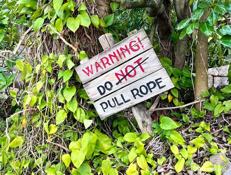 The One Rule Every Disney Adult Breaks in Disney's Hollywood Studios