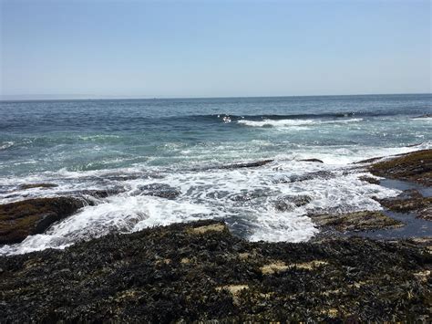 A rocky beach in Cape Elizabeth, ME [OC] [4032 x 3024] : r/EarthPorn