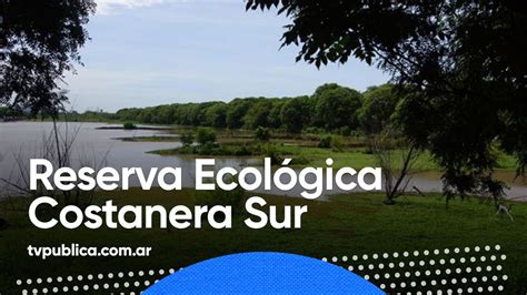 Reserva Ecológica Costanera Sur Todos Estamos Conectados YouTube