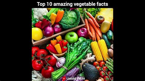 Top 10 Facts About Vegetables Facts About Vegetables World Facts Youtube