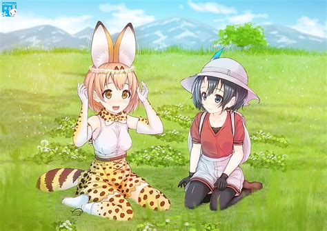 1284x2778px Free Download Hd Wallpaper Anime Kemono Friends