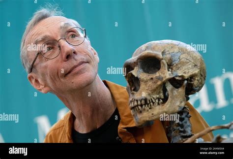 Forscher skelet Fotos und Bildmaterial in hoher Auflösung Alamy