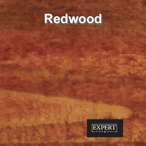 Expert Transparent Wood Stain - The Deck Store USA