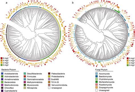 Asvs Found In A Bacterial And B Fungal Microbiomes Of Different