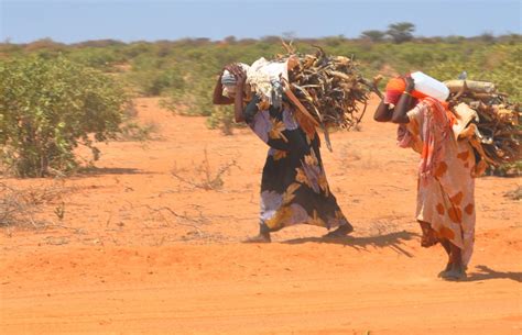 La sécheresse dans la Corne de lAfrique menace de famine 20 millions