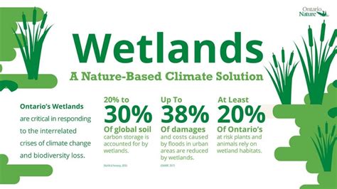 New Resources for Wetland Conservation - Ontario Nature