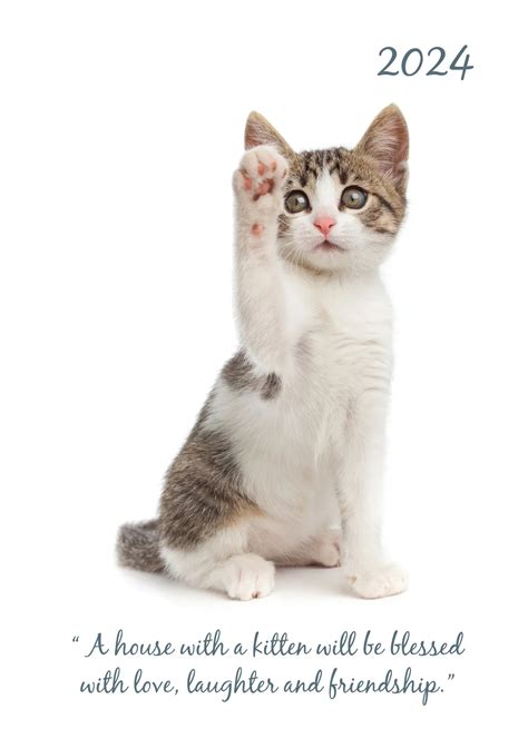 I Love Kittens: My Secret Diary ( Diaries) 5