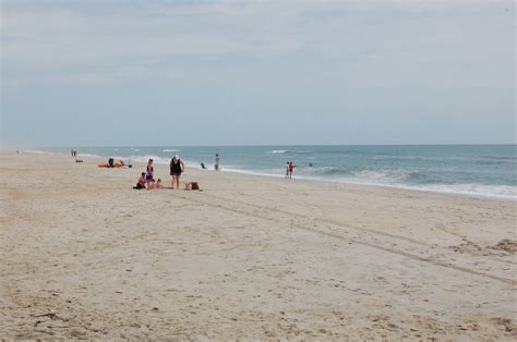 Bong In Virginia Assateague Island And Its Wild Ponies