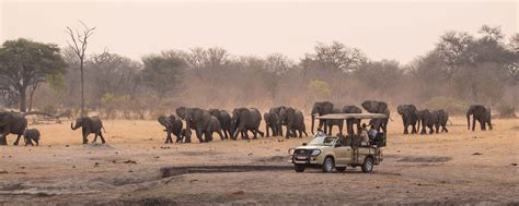 Epic Journeys On African Safari Tours - Lopare