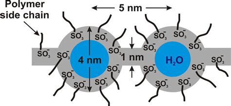 4 Cluster Network Model Of Gierke For The Morphology Of Hydrated