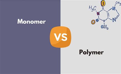 Monomer vs. Polymer - What's The Difference (With Table) | Diffzy ...