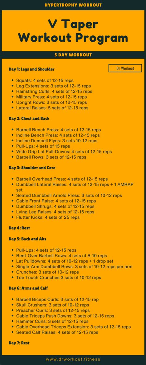 V Taper Workout Program (with PDF) | Dr Workout