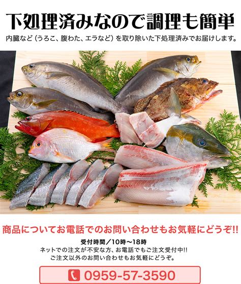 五島列島天然魚 海鮮鍋セット3人前 宇久 黒潮鮮魚