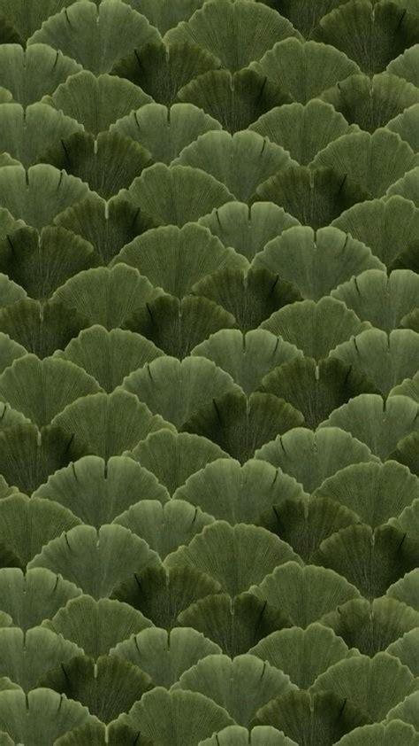 Pin By ‎نازنین On Lockscreens In 2024 Earth Texture Patterns In Nature Green Aesthetic