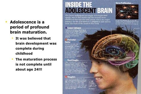Effects of Drugs on the Brain
