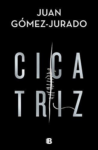 The Cover To Cica Triz By Juan Gomez Jurado