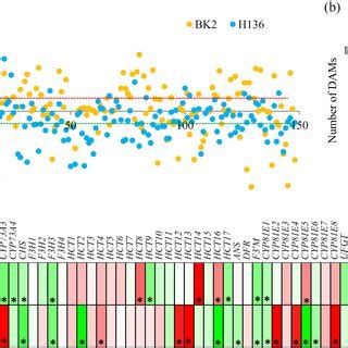 Integrated Metabolomic And Transcriptomic And Transcriptomic Analysis