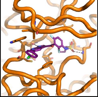 Vemurafenib In Human Braf Kinase The Structure Of Human Braf With