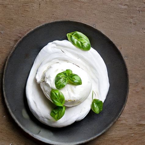 burrata vegan  vegetarian exploring  options  plant based