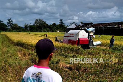 Kementan Ribu Petani Gunakan Kur Setelah Dilatih Republika Online