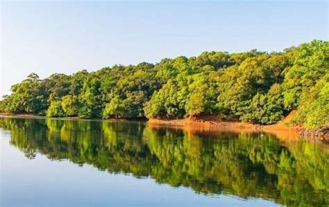 Best Time To Visit Charlotte Lake (Matheran) In 2024