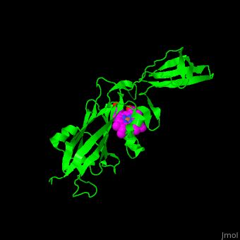 Cytochrome F Proteopedia Life In 3D