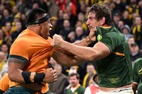 WATCH: Springboks & Wallabies in a heated scuffle after Makazole ...