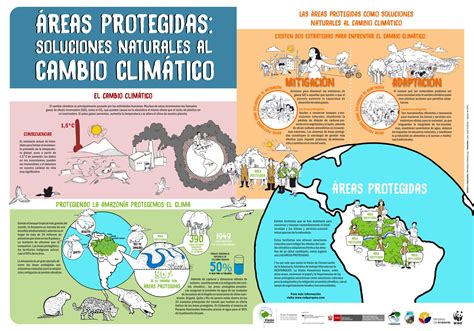 Efectos Del Cambio Climático En El Amazonas Impacto En Sus Aguas Y Biodiversidad Instituto