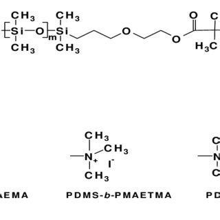 Structure Of The Amphiphilic Diblock Copolymers Pdms B Pdmaema And