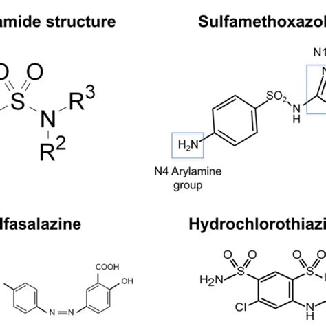 Sulfonamide structure: antimicrobial and non-antimicrobial sulfonamides ...