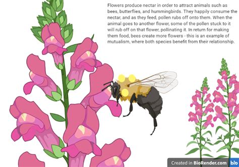 Chapter Parasitism And Mutualism Applied Ecology