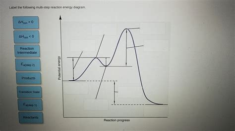 Solved Label The Following Multi Step Reaction Energy Chegg