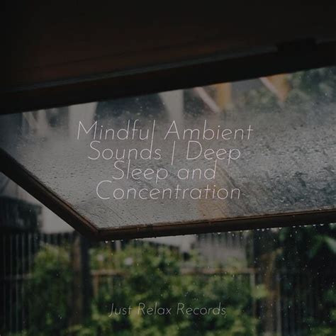 Mindful Ambient Sounds Deep Sleep And Concentration M Sica Para