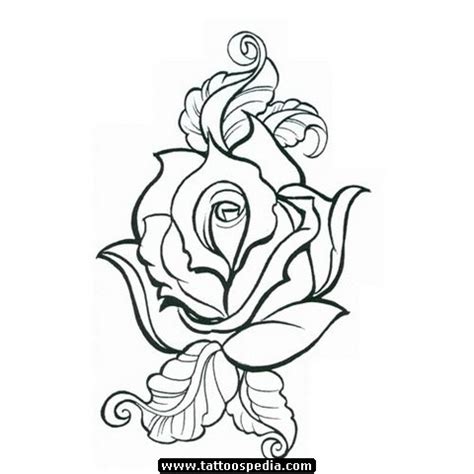 Rose Outline Drawing | Free download on ClipArtMag