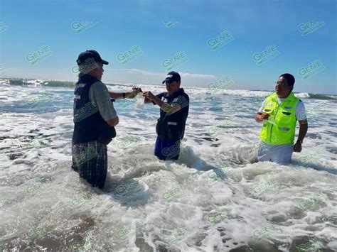 Playas Michoacanas Aptas Para Vacacionistas Gente Del Balsas