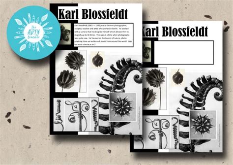 Karl Blossfeldt Resource Sheet The Arty Teacher