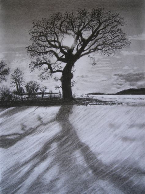 Charcoal Tree Drawing At Getdrawings Free Download