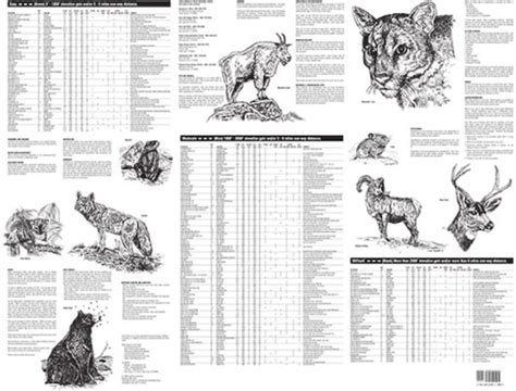 Wasatch Front Panoramic Hiking Map Utah Is Rad