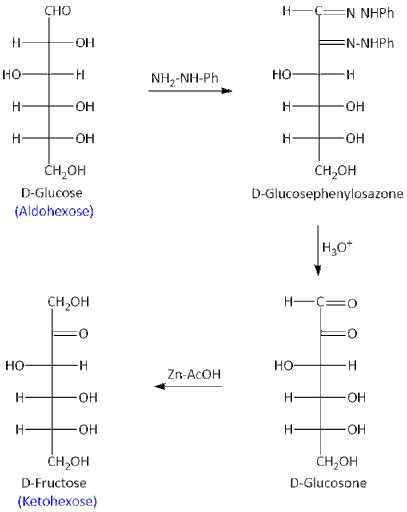 Glucose To Fructose Conversion Maxbrain Chemistry