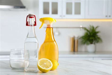 Your Kitchen S Green Cleaning Guide Ditch The Chemicals Shine With Nature