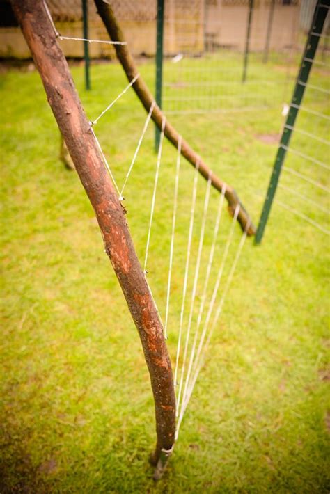 How To Make A Bean Teepee Play Garden Teepee Small Space Gardening