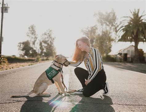 Seeing Eye Dog Learns Alongside Students – PawPrint