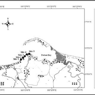 Map of study sites in Pattani Bay, Thailand | Download Scientific Diagram