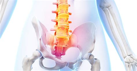 gonstead technique great falls montana chiropractor  chiropractic