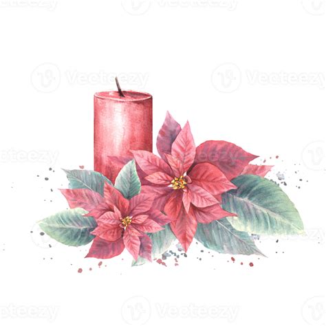 Watercolor Painted Arrangement With Red Poinsettia Flowers Leaves With