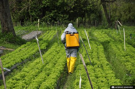 Transporte e armazenamento adequados de defensivos agrícolas contribuem