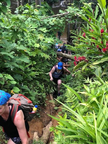 El Yunque Rainforest Guided Hiking Tour