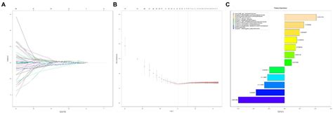 Radiomic Features Selection Using The Lasso Logistic Regression Model Download Scientific